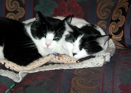 Pic of Charlie and Schuster Charlie and Schuster